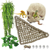Kathson habitat skull decor: natural resin skull for secure reptile hide and exploration.