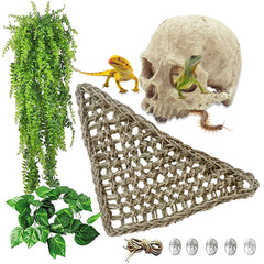 Kathson habitat skull decor: natural resin skull for secure reptile hide and exploration.