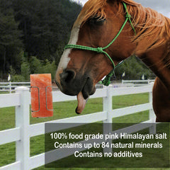 Kathson Himalayan salt block outdoors showing durability for livestock use.