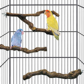 Kathson natural grapevine parrot perch branch close-up supports secure grip and playful climbing