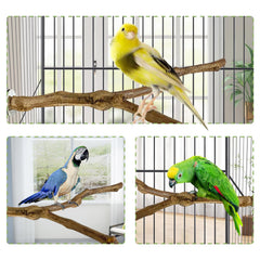 Kathson parrot perch grapevine close-up texture highlights grip-friendly surface for claws
