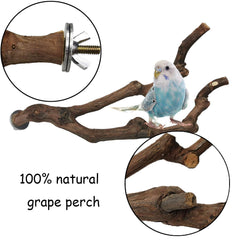 Kathson grapevine parrot perch installation demonstrates secure, tool-free mounting on a cage
