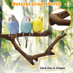 Kathson parrot perch no-branch design offers versatile placement and natural resting spots.