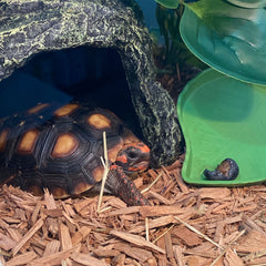 Kathson Reptile Rock Hideout Cave inner view shows compact retreat for basking.