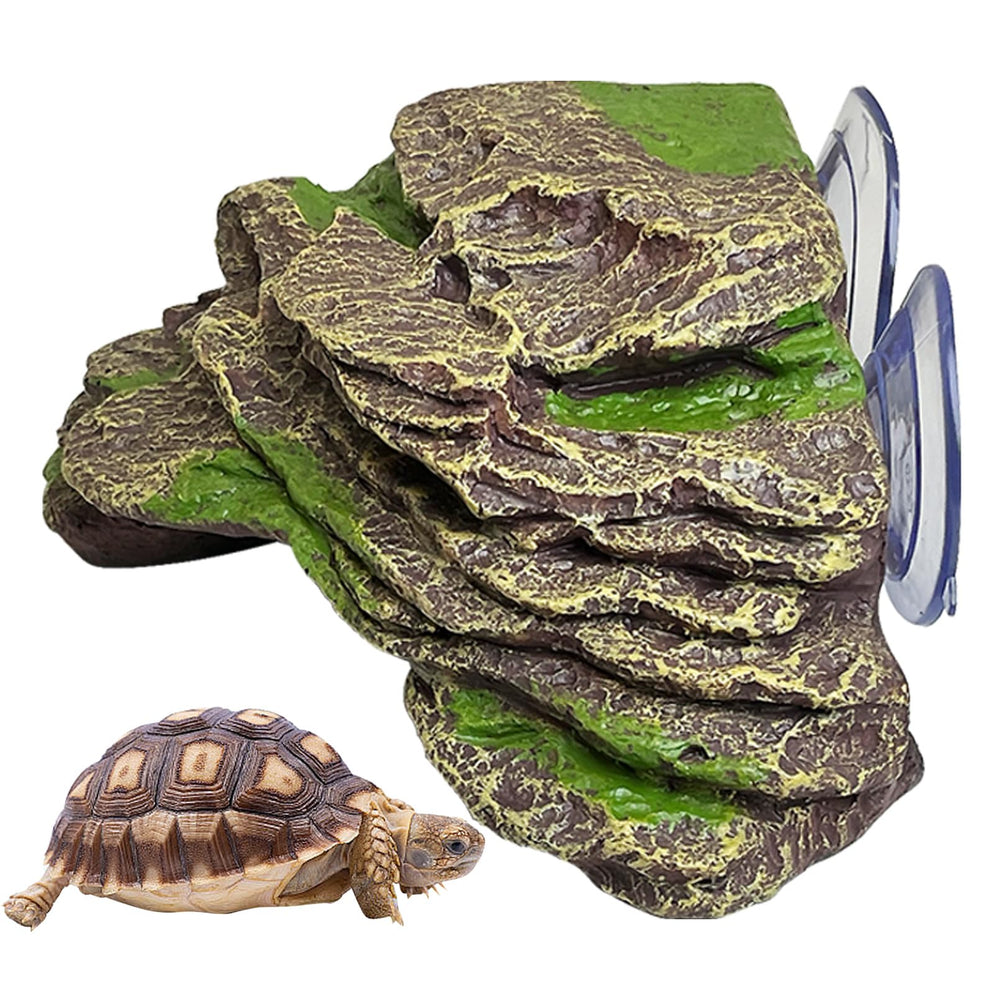 kathson turtle platform top view for sunbathing and exercise