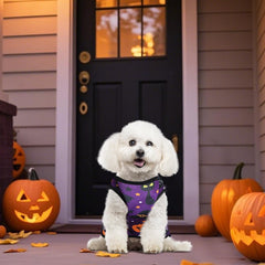 KATOLK Halloween dog clothes colors variation emphasizes variety for daily outfits and mood