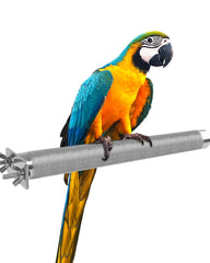 KATUMO Parrot Perch rough surface closeup for natural grooming and nail care.