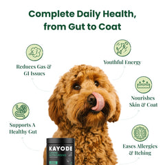 Kayode NutriGreens chews close-up for vibrant energy and gut support.