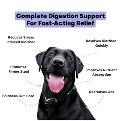 Kayode Ultimate Digestion chews-closeup pumpkin-enzyme blend aids digestion