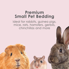 Kaytee bedding plum dry habitat suggests low-dust, soothing environment during play or rest.