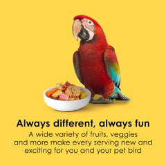 Kaytee Fiesta Big Bites foraging shapes invite interactive feeding for macaws