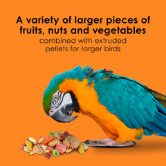Kaytee Fiesta Big Bites macaw meal in action highlights large-beak suitability
