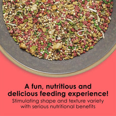 Kaytee Fiesta Max canary/finch 2lb seed blend closeup highlights diverse foraging-friendly mix.