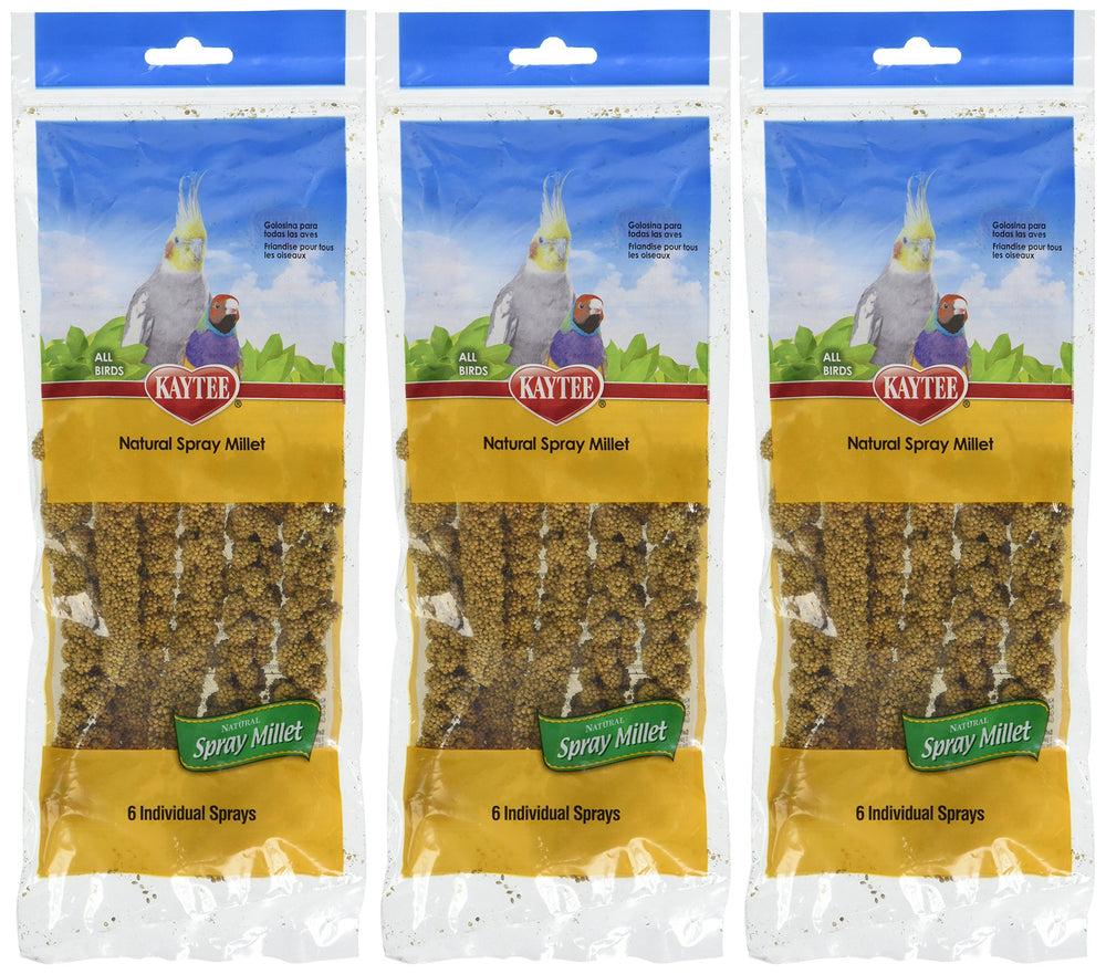 Kaytee Spray Millet 3-pack box front, convenient training treat