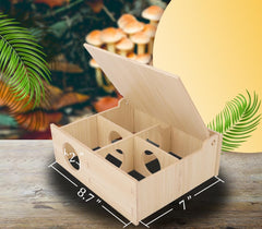 kcrygogo hamster wooden tunnel interaction invites exploration