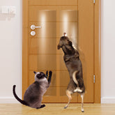 KEBE door scratch protector 63in demonstrates a clear shield guarding doors from claws