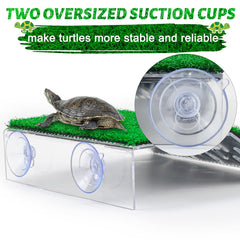 Keedolla aquarium turtle platform in acrylic shows durable, non-toxic support.
