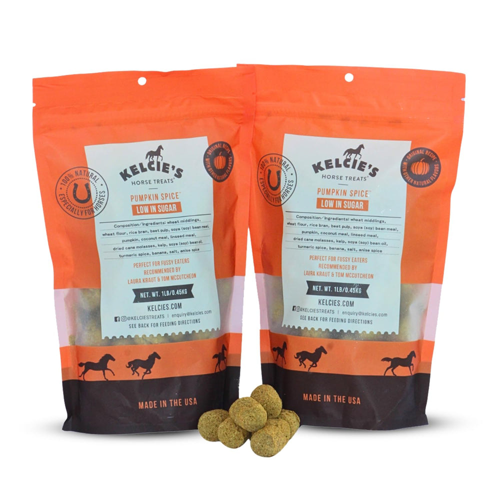 Kelcies Pumpkin Spice real fruit pieces for a tasty reward during rides