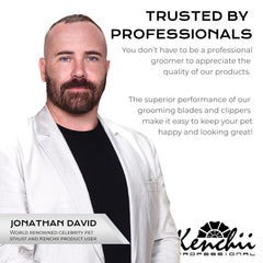 Kenchii Flash 5 stainless steel blades offering long-lasting durability for daily use.