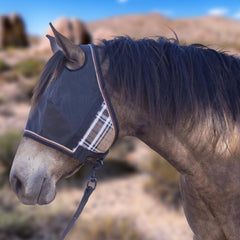 Kensington UViator on horse demonstrates year-round protection against reflections and glare.