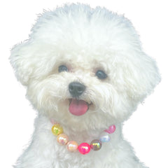 Kepudengen adjustable-length necklace for a perfect fit on pets