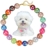 Kepudengen dogs necklace colorful beads ideal for stylish photoshoots