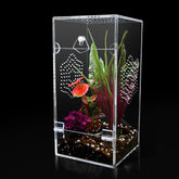 KERRLOTTE acrylic jumping spider enclosure front view for easy observation and stress-free monitoring.