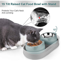 Kevideawl double food and water bowls in grayblue for simultaneous meals