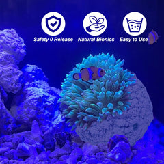 KFPSHLQE Anemone Nest porous-structure supports effective water circulation around nest interiors.