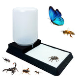 KFPSHLQE insect water feeder top view demonstrates a steady hydration source for tiny enclosure pets.