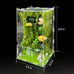 KFPSHLQE jumping spider enclosure forest top view highlights clamshell access for quick feeding