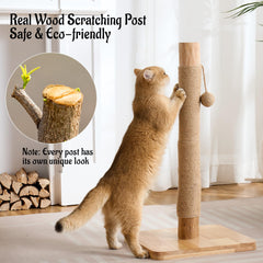 Kicari height of 28.7 inches supports full-body stretching for kittens and adults.