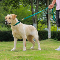 Kidding Pets collar en ocho colores para combinar con la personalidad.