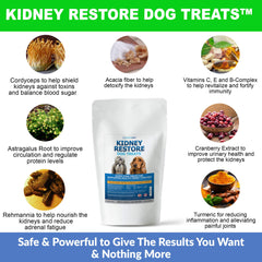Kidney Restore dog treat dog-enjoying image shows palatability and renal-friendly mood support.