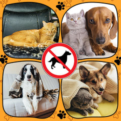 Kigley khaki couch deterrent mat on various furniture shapes.