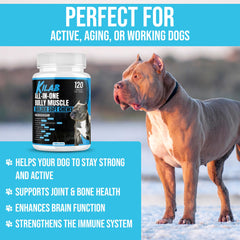 Kilab Pitbull Soft Chew in use while dog enjoys a snack supporting joints
