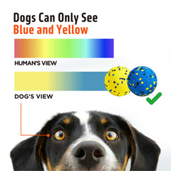 Kimee 3.9-inch dog balls in blue and yellow attract dogs during play.