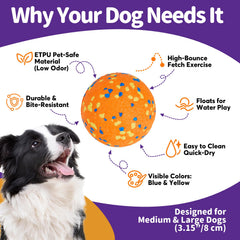 Kimee dog balls orange accent aids tracking while adding stylish contrast