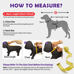 Kimee dog raincoat with reflective strip for better visibility at night.