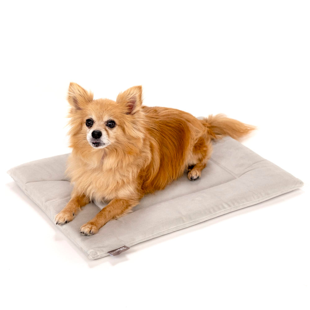 KindTail dog crate pad in soft velvet delivers cozy lounging for small pets