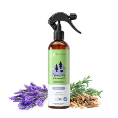 KinKind flea-tick spray bottle with lavender scent for dogs for outdoor protection.