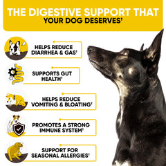Kinpur Probiotics Chews demonstrate a shiny coat and skin comfort