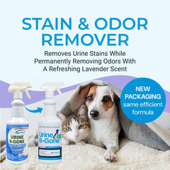 KINZUA Urine B-Gone enzyme action graphic showing deep cleaning