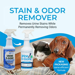KINZUA ENVIRONMENTAL Urine B-Gone sprayed surface shows deep stain removal on carpets