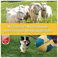 KipSip Herding Ball outer cover demonstrates bite free grip for controlled play