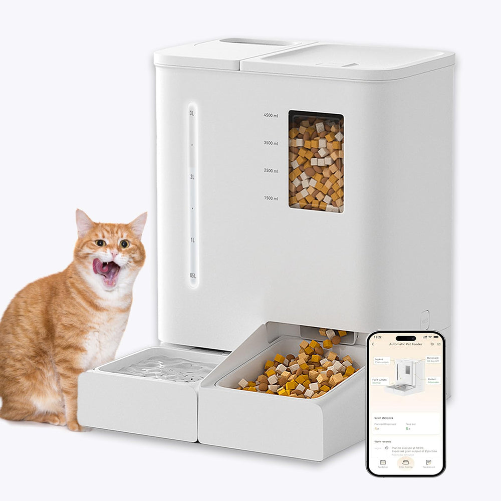 KIPPDURO two-in-one feeder-dispenser enables scheduled meals and remote care.
