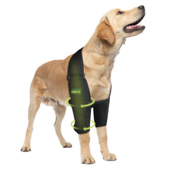 KISFLY dog elbow brace front view demonstrates secure fit for front legs during walks