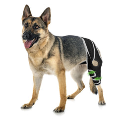 KISFLY dog knee brace front view showing universal fit for ACL support.