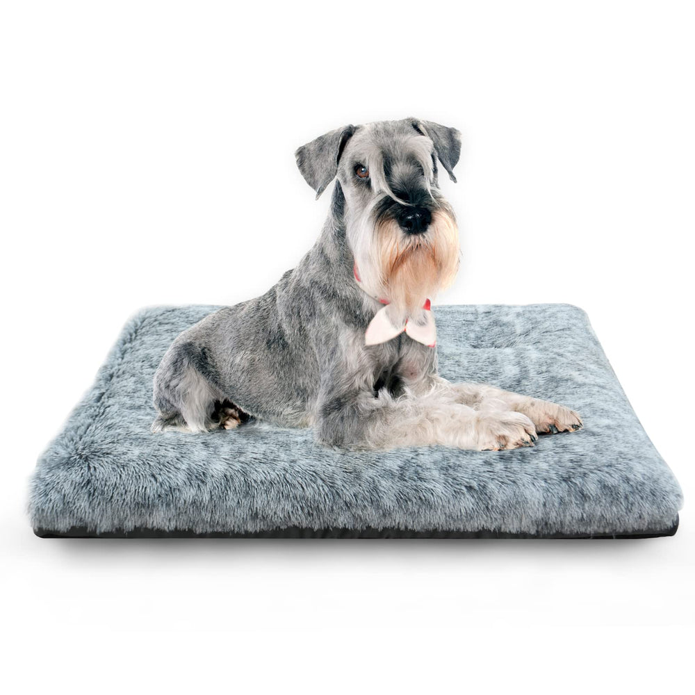 KISYYO orthopedic dog bed plush edge provides cozy support for naps.