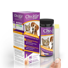 KIT4CAT CheckUp strips bottle label visible for at-home protein urine testing